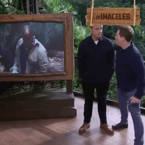Ant And Dec Im A Celeb GIF by STV