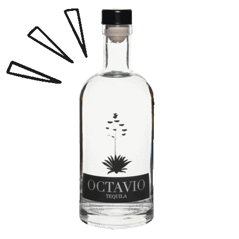 Octavio Tequila Sticker