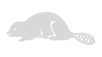 USask College of Engineering Sticker