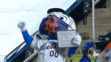 Ny Mets Baseball GIF by New York Mets