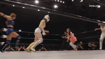 Bad Ass Win GIF by THE WRESTLERS