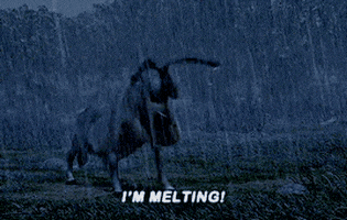Shrek GIF