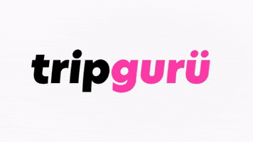 Tripguru GIF