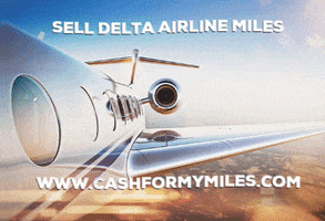 Delta Airline Miles GIF