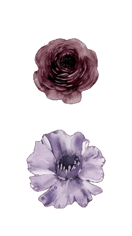 Quail Noso Sticker by nosopatches