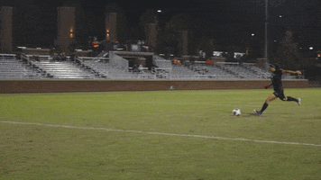 Rejected Go Tigers GIF by Clemson Tigers