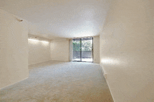 Sheltercreek San Brunoca Studioforsale Resortstyleliving GIF