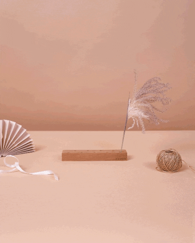 Flowers GIF