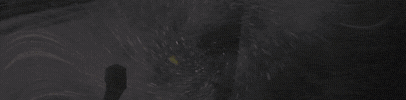Frog Bikes GIF