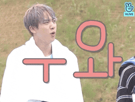 Jin Wow GIF by BTS