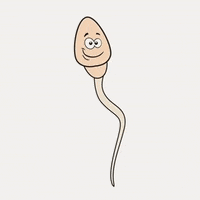 Sperm GIF by memecandy