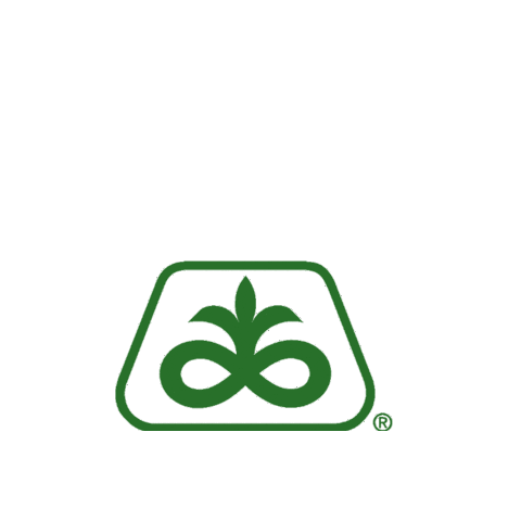 Pioneer Sticker