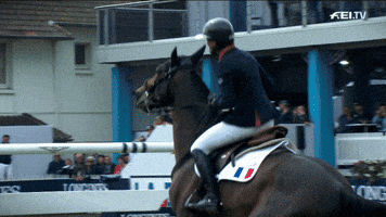 jumping france GIF by FEI Global