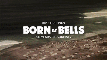 GIF by Rip Curl