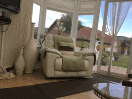 Home GIF