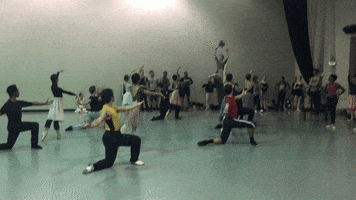 Ballet  GIF
