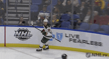 Jonas Brodin Hockey GIF by Minnesota Wild