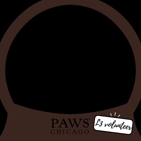 Paws Volunteer GIF by PAWS Chicago