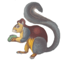 Fall Autumn Sticker by GallicaBnF