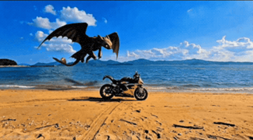 Animated GIF