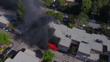 200.gif?cid=fc005b08121798103dccca5534d53869fa56e3b12e40d9af&rid=200.gif&ct=g