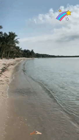 Tulum GIF - Find & Share on GIPHY