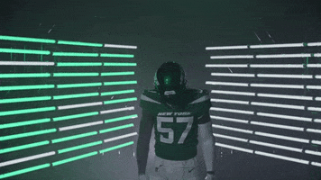 American Football GIF by New York Jets