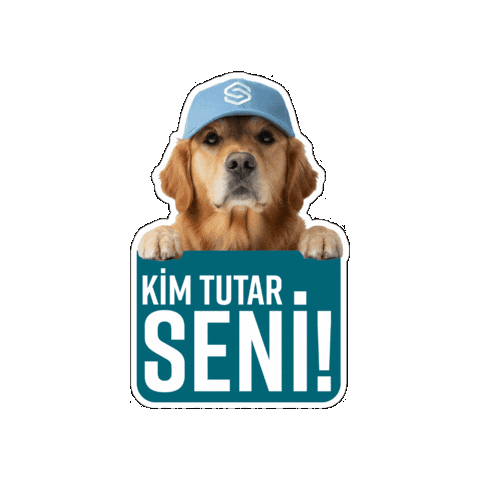 ShipEntegra Sticker