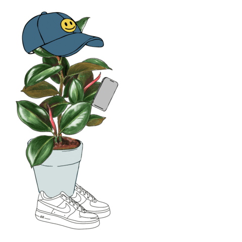 Illustration Plant GIF by Lively Root