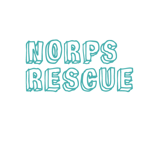 Suomen Luonnonsuojeluliitto ry Sticker