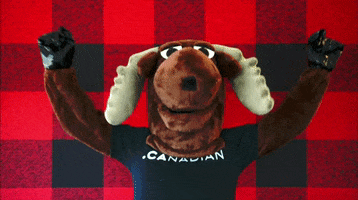 200.gif?cid=fc005b083613b13b64f3a0e2f3fdc61cda9c0a5fe4b16b4d&rid=200.gif&ct=g