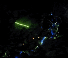 Audiovisual GIF