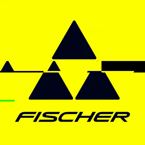 Fischer Skis GIF
