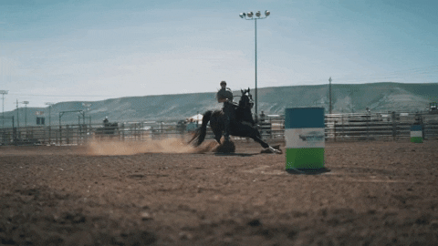 Horse Riding Sex Gif - Coming in hot GIFs - Get the best GIF on GIPHY
