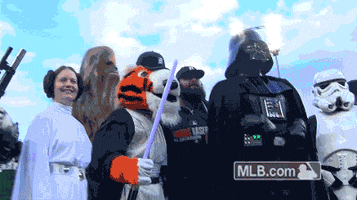 detroit tigers may the 4th be with you GIF by MLB