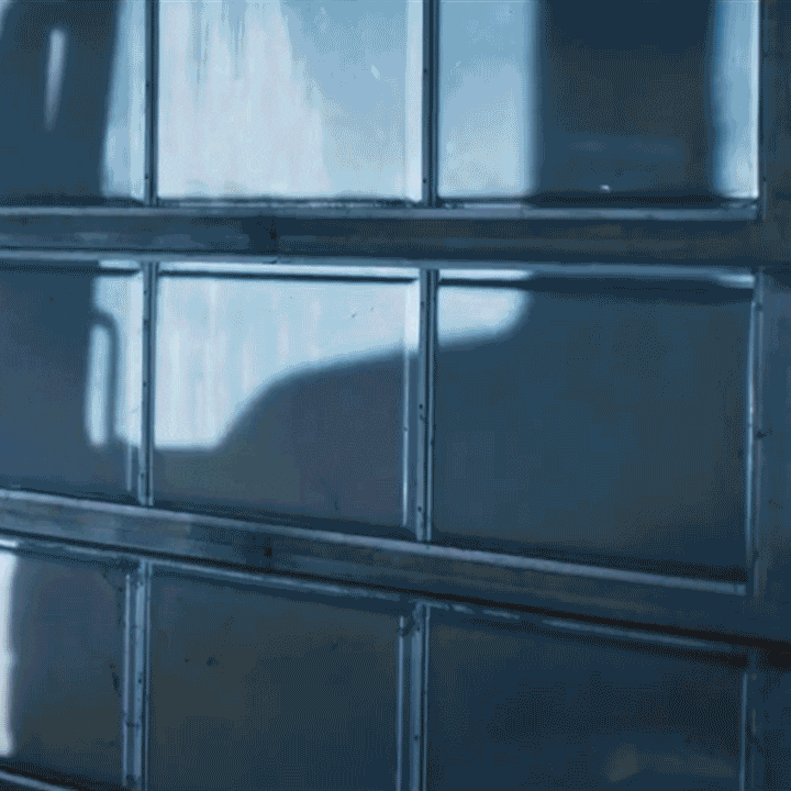 Wilhelm Schwarzmüller GmbH GIF