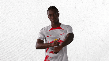 Its Time Football GIF by RB Leipzig