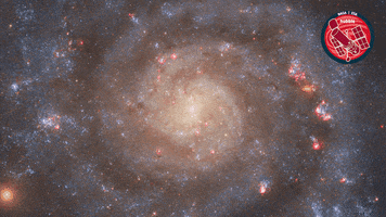 Stars Nasa GIF by ESA/Hubble Space Telescope