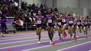 Gold Track GIF by LSU Tigers