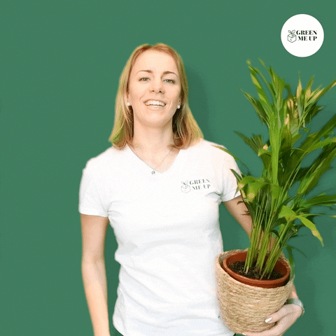 GreenMeUp green agree palm natur GIF