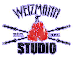 Studio Weizmann Sticker by LIAV