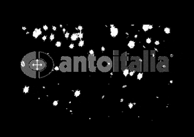 Antoitalia GIF