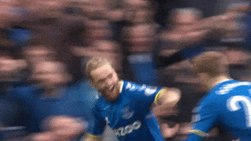 Happy Premier League GIF by Everton Football Club