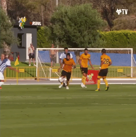 Passing Premier League GIF by Wolves