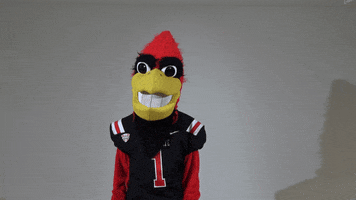 Dunno What GIF by Ball State University