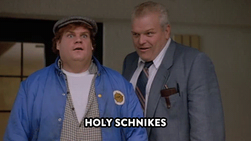 Image result for holy schnikes gif