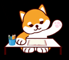 Shiba Inu Dog GIF by DEOW Japan