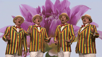 Flower Quartet GIF by The Tonight Show Starring Jimmy Fallon