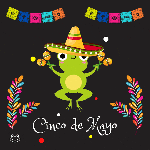 Cinco De Mayo Frog GIF by TOAD 8