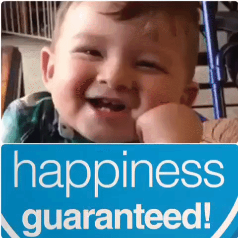 happiness GIF by The Videobook